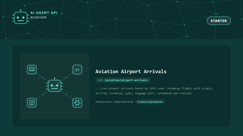 Aviation Airport Arrivals