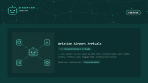 Aviation Airport Arrivals