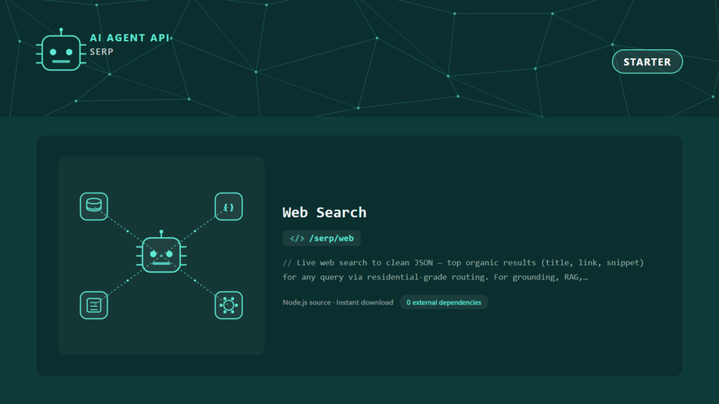 Web Search
